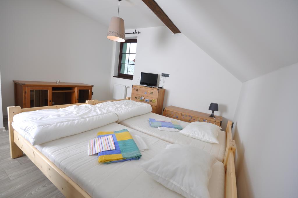 Apartmanove Ubytovani V Koutech Loucna nad Desnou Exterior photo